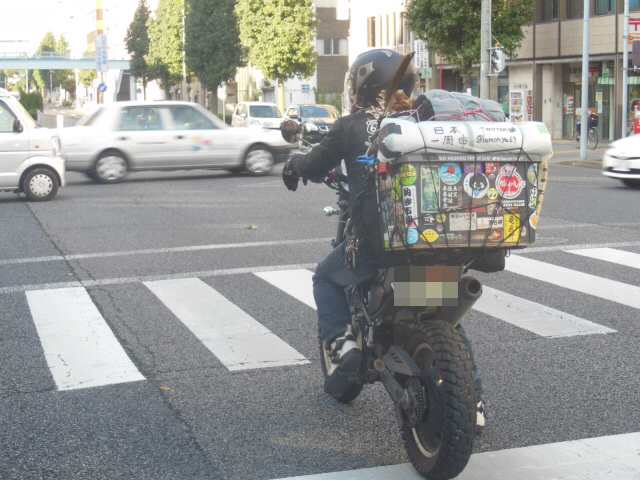 イメージ 1