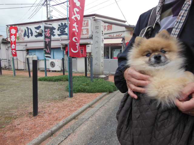 イメージ 1