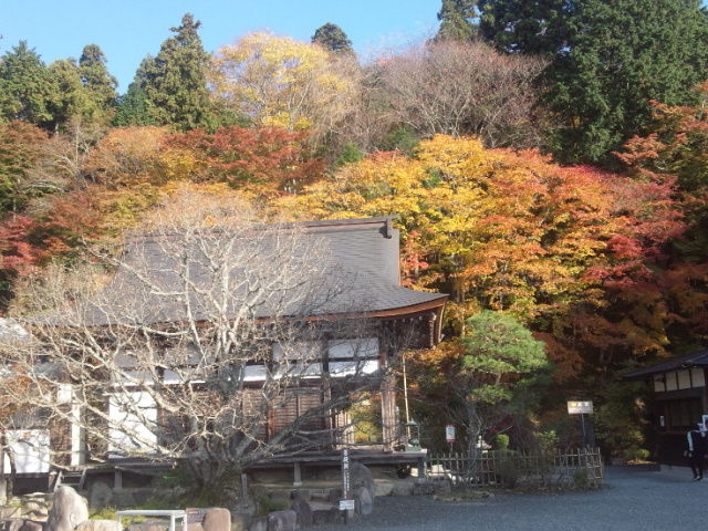イメージ 8