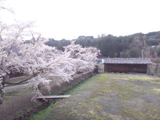 イメージ 4