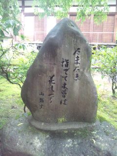 イメージ 6
