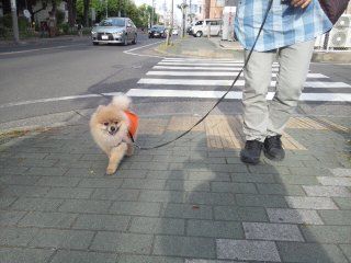 イメージ 4