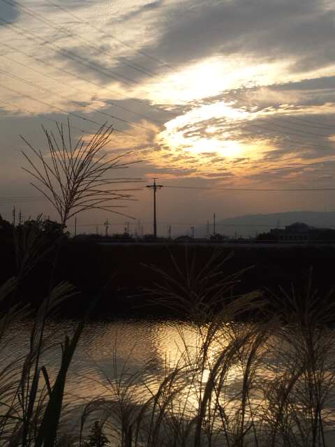 イメージ 10