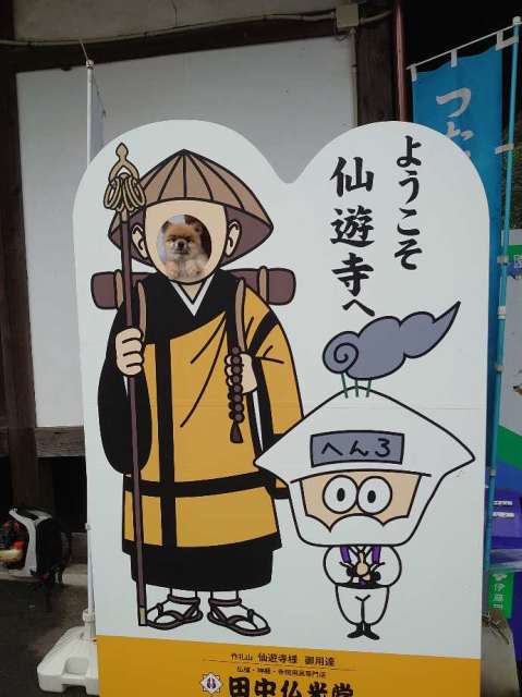 イメージ 1