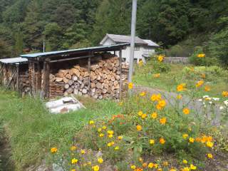 イメージ 6