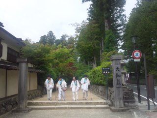 イメージ 7