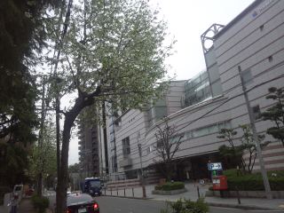 イメージ 6