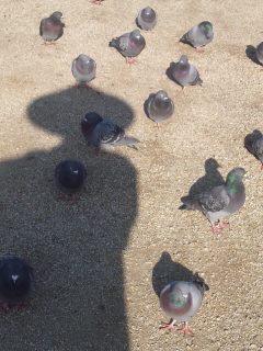 イメージ 4