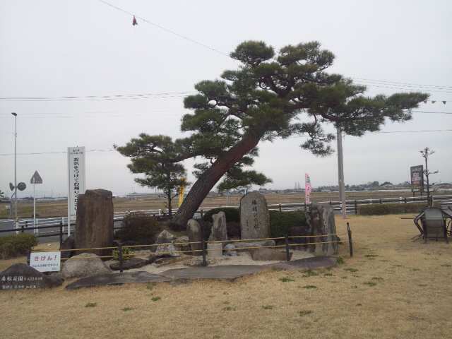 イメージ 2