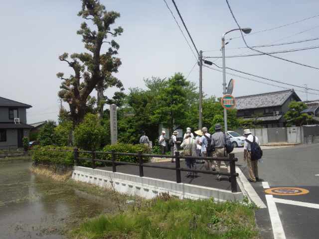 イメージ 8