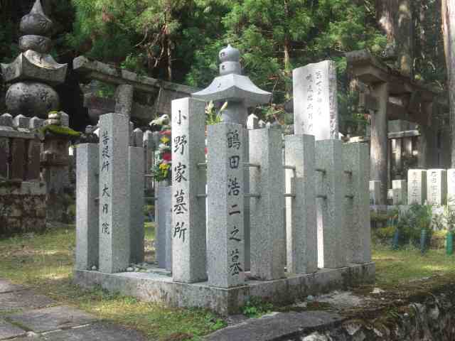イメージ 5