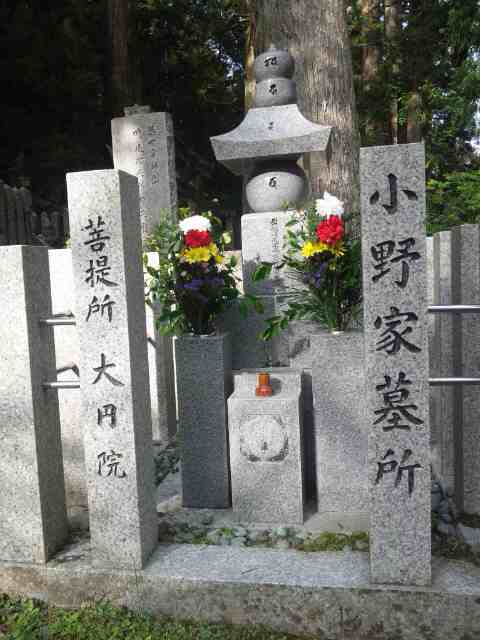 イメージ 10