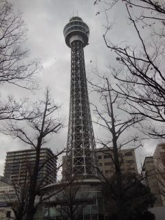 イメージ 5