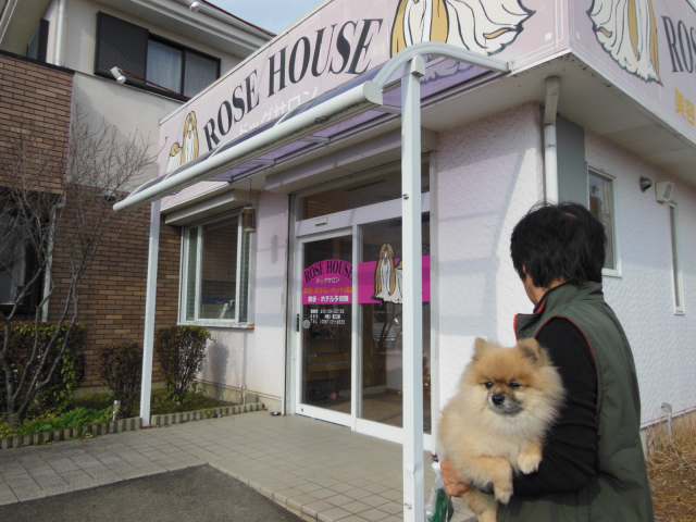 イメージ 1