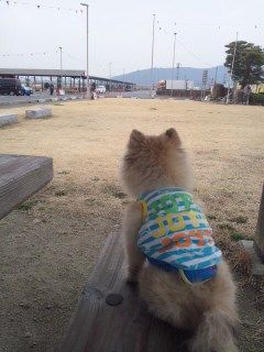 イメージ 1