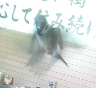 イメージ 2