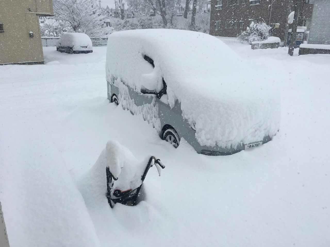 とうとう大雪が来ました こんな時に限ってユキオスのエンジンが始動しない Diy実践日記