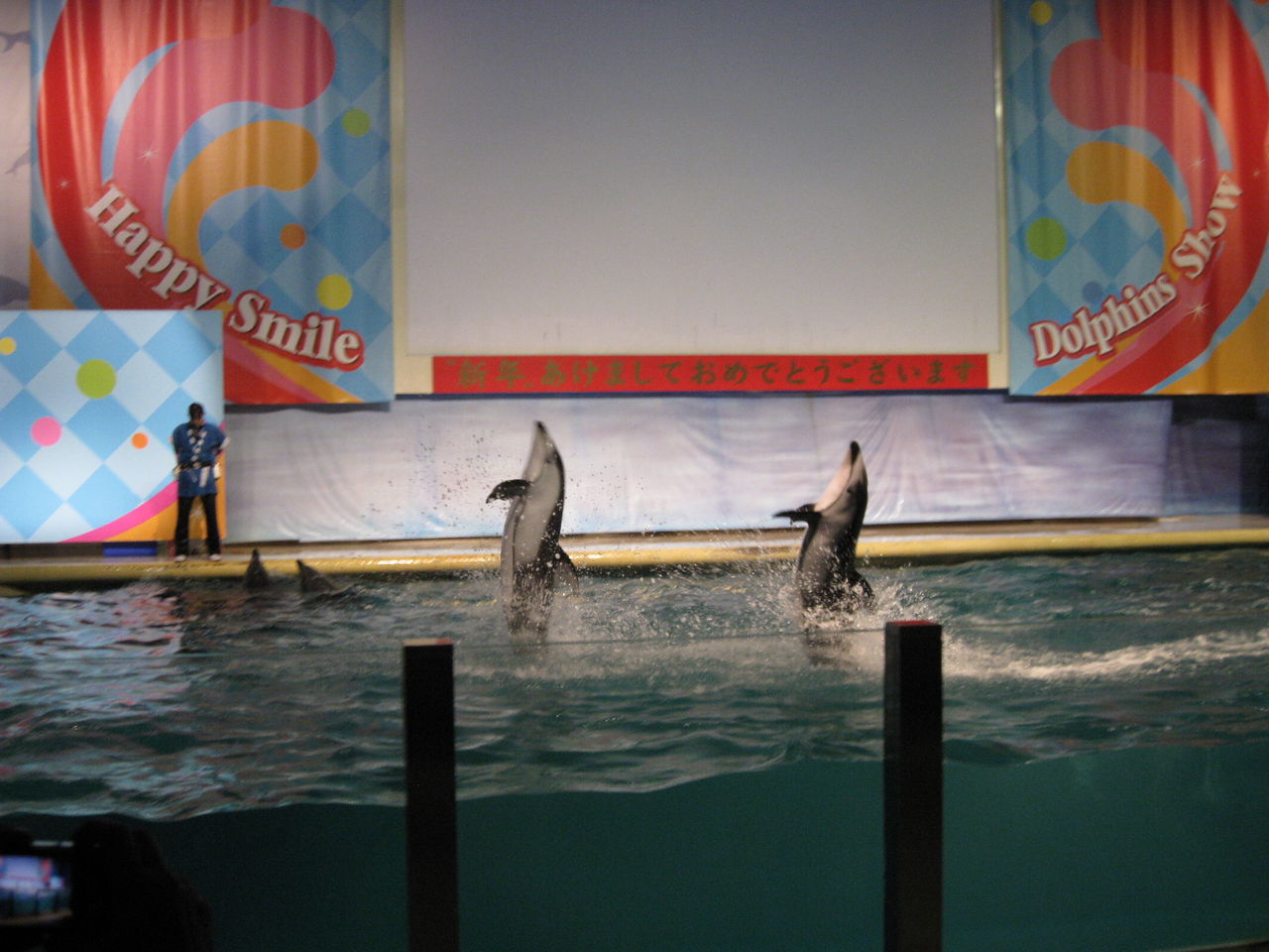 靑森県営 浅虫水族館に行ってきました Diy実践日記