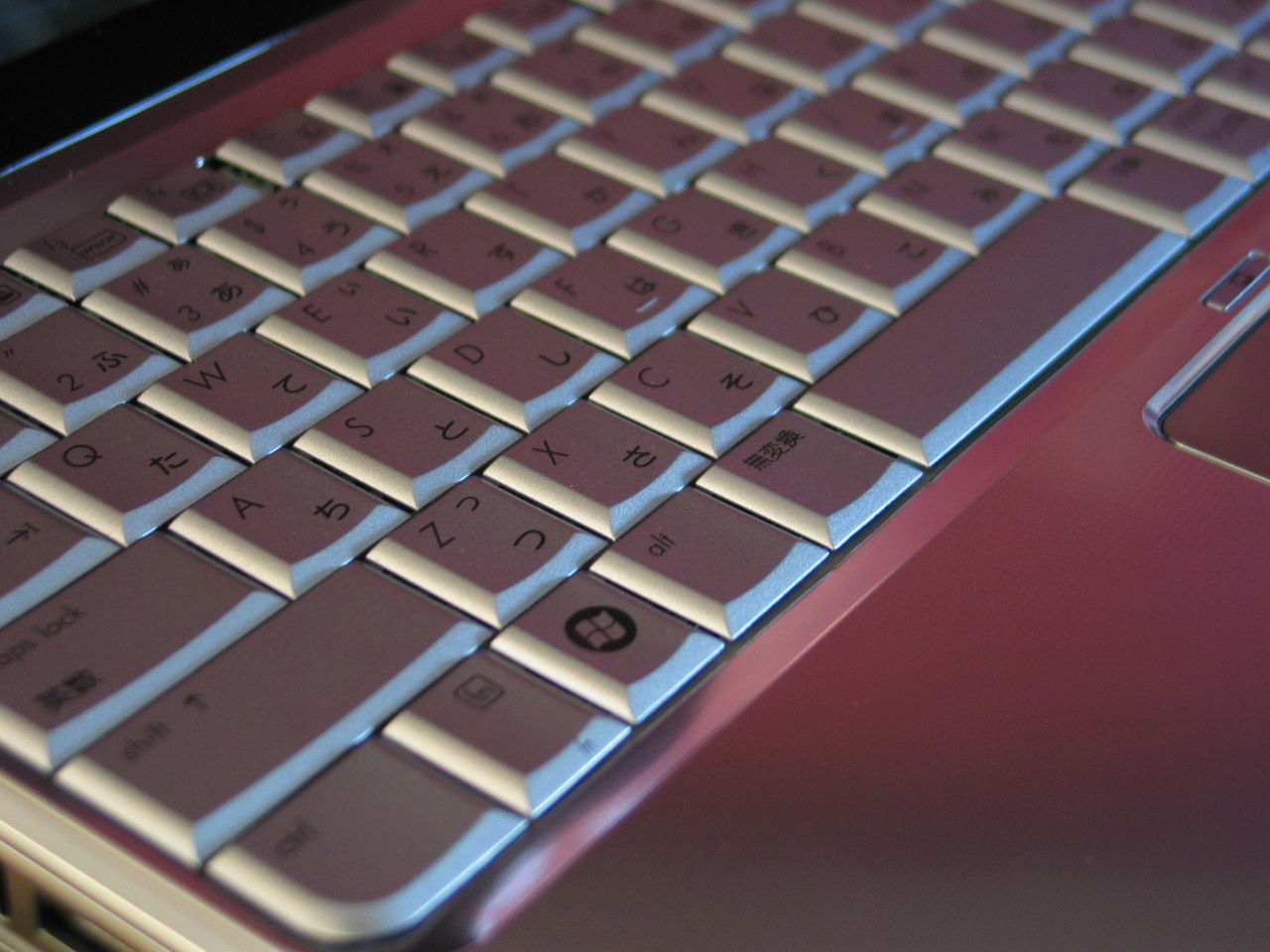 Amazon.com: Replacement Laptop LCD Top Cover for HP Pavilion