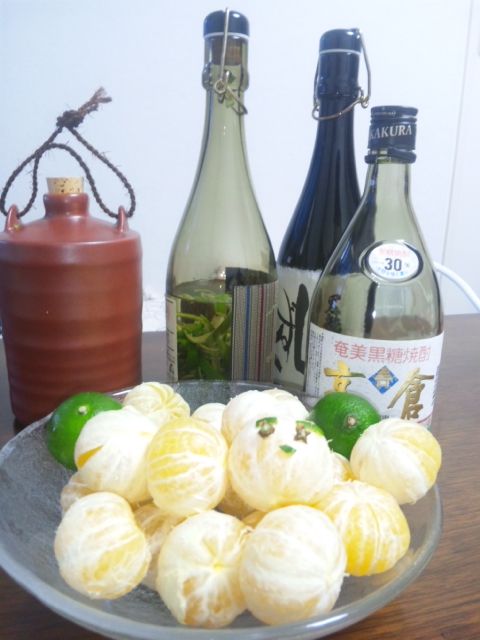 花良治みかんって知ってる 朝日会 花良治みかんって知ってる 朝日会