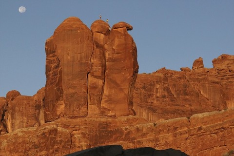 news_header_americawild_201603_02