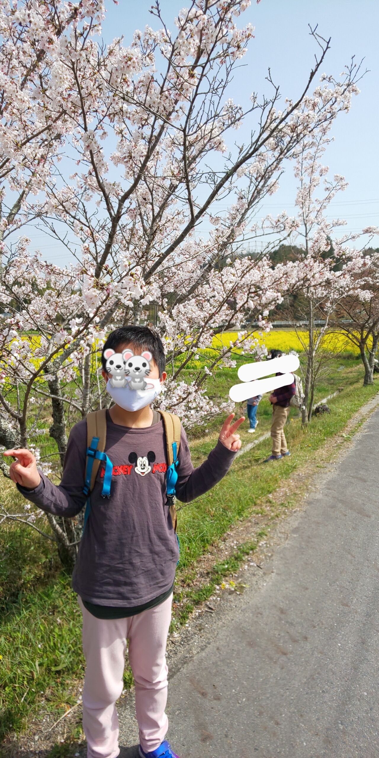 普賢寺でお花見 スヌーピーの代打は 人混み嫌いなスヌーピーの散歩記