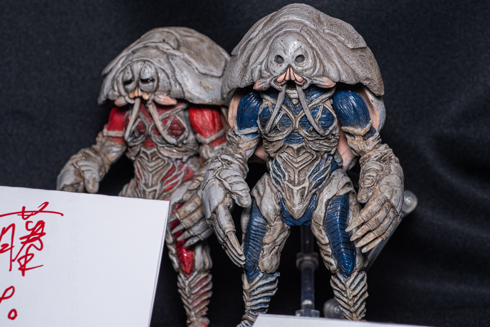 DSC_1654_14036