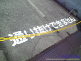 3d5d9199.jpg