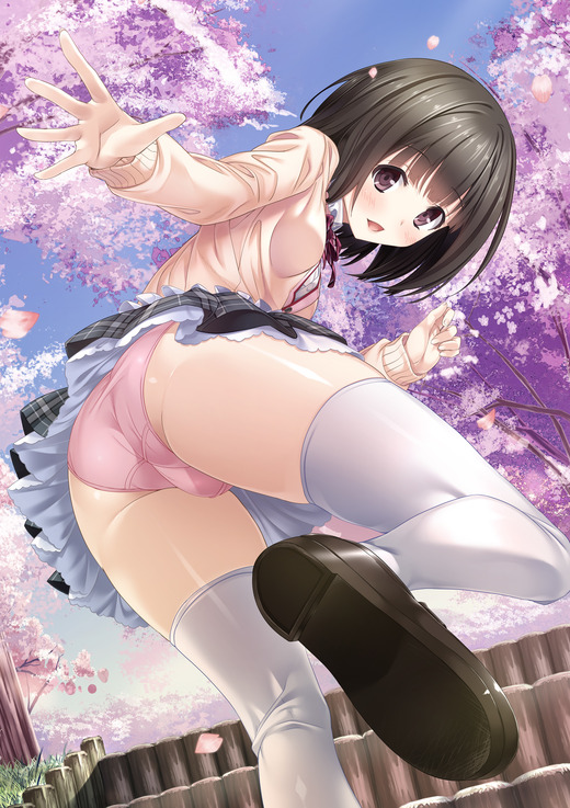ハルキス【瀬戸このみ】パンチラ 画像（イラスト：marui）