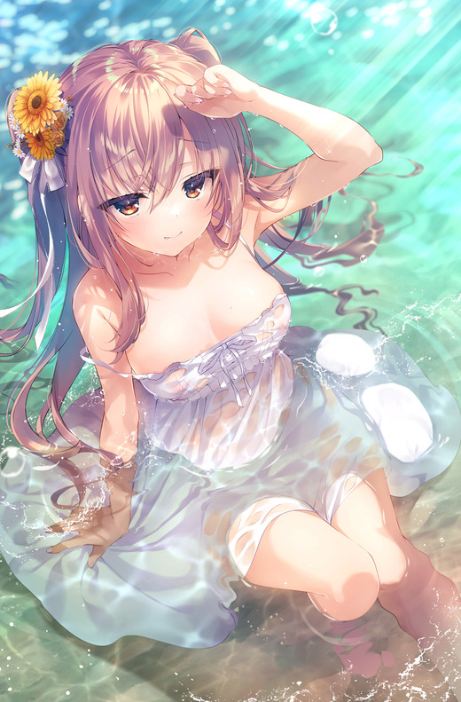 イラスト：庄名泉石【ドレス姿の女の子 透け乳首】二次エロ画像