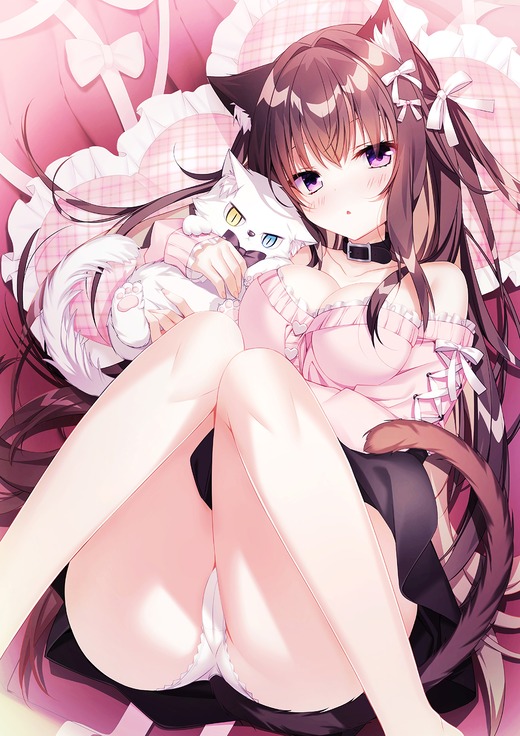 イラスト：白もち桜【ネコ耳の女の子 パンチラ】二次画像