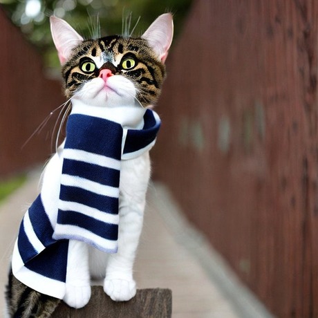 scarf in summer