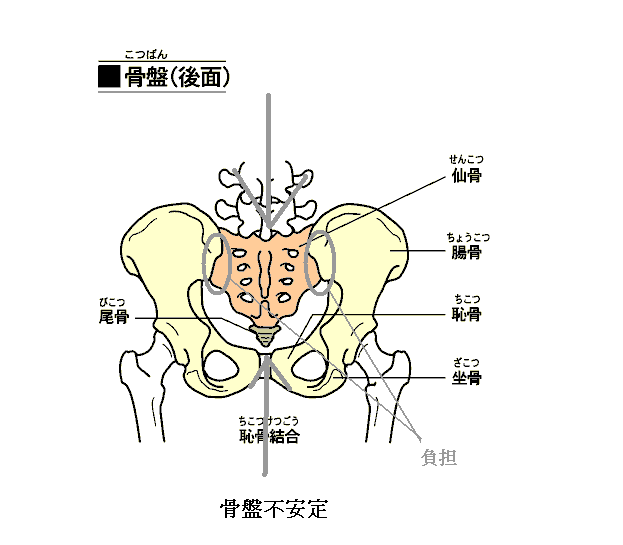 自転車と腰痛 : にこたまで働く整体師