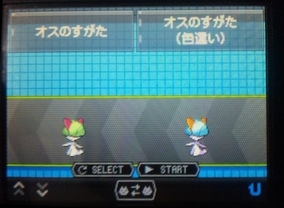 色違い 11 ラルトス ２p