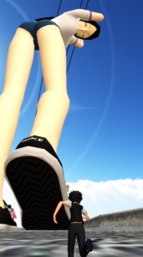 a1 パノラマ写真