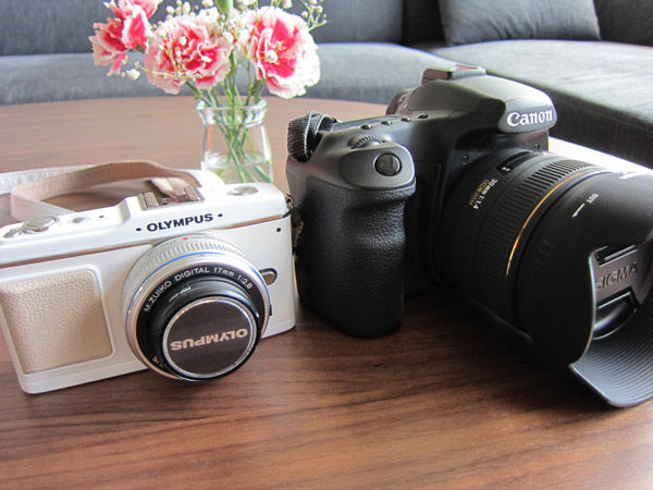 ミラーレスと一眼レフ カメラと写真