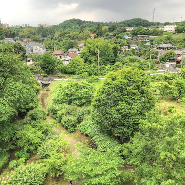 若葉台 つれづれなるままに つれづれブログ