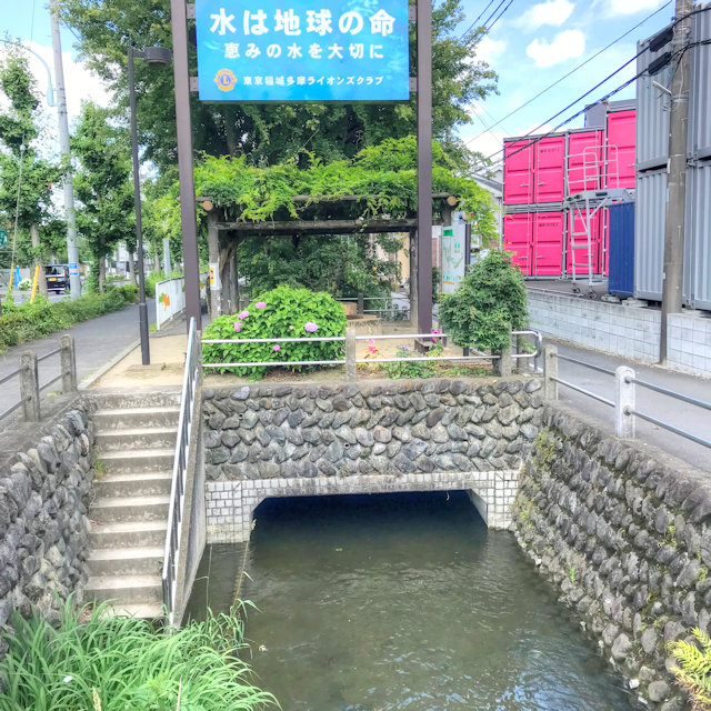 若葉台 つれづれなるままに つれづれブログ