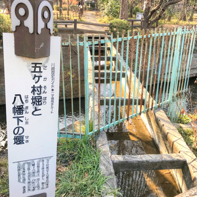 川崎市緑化センター つれづれなるままに つれづれブログ 川崎市緑化センター つれづれなるままに つれづれブログ