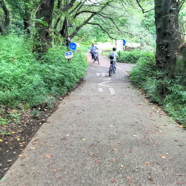 梅雨明け つれづれなるままに つれづれブログ
