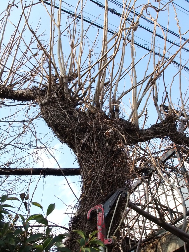 DSCF6281