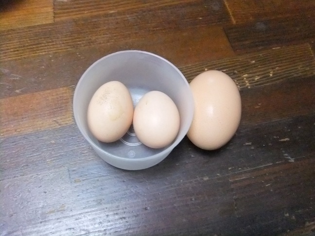 DSCF6361