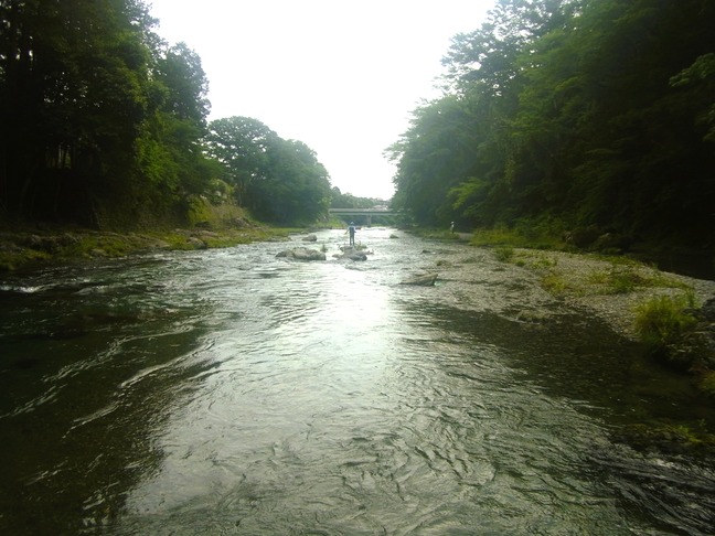 R0016938