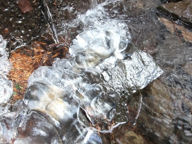 DSCF6223