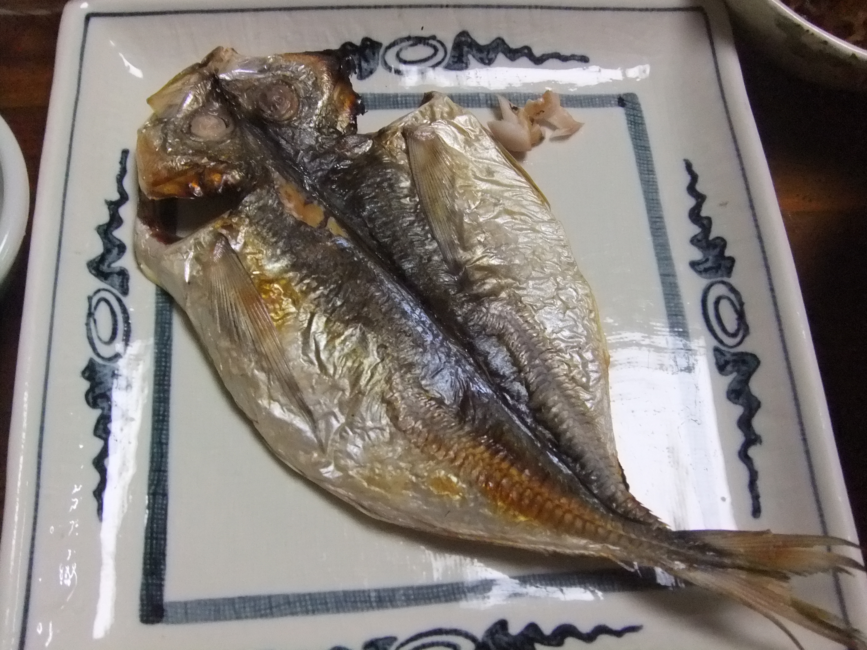 アオリイカ 最高 愚禿道化の徘徊日誌 アオリイカ 最高 愚禿道化の徘徊日誌