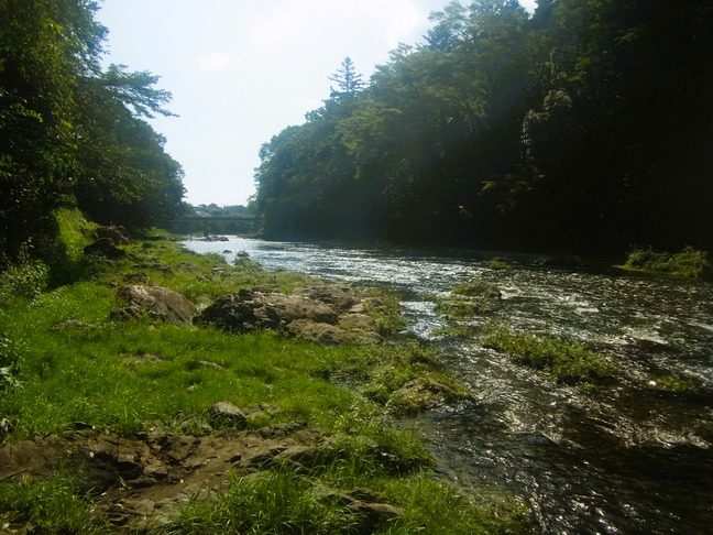 R0016950