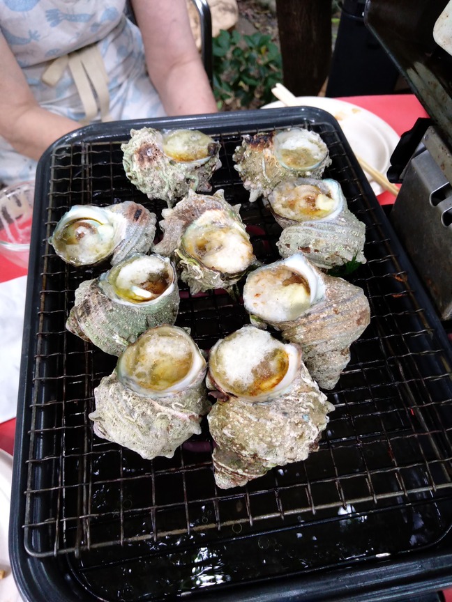 IMG_20250608_153325