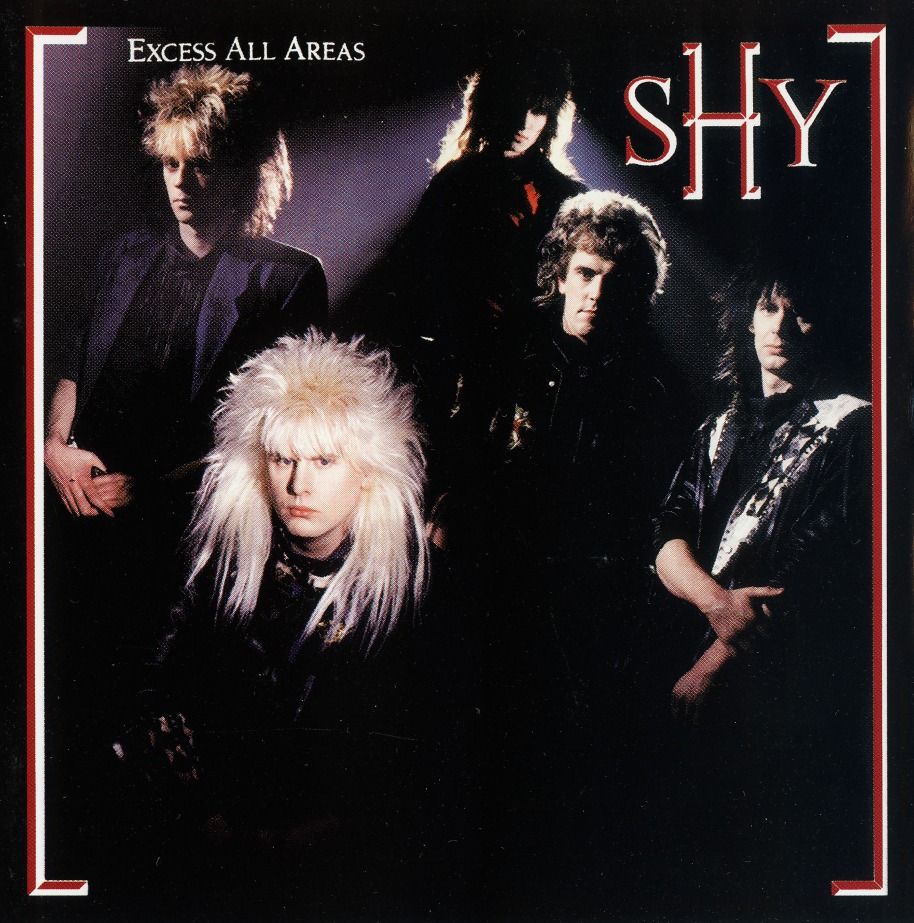 名盤】 SHY 「Excess All Areas」 : コンサルタントのはみだし