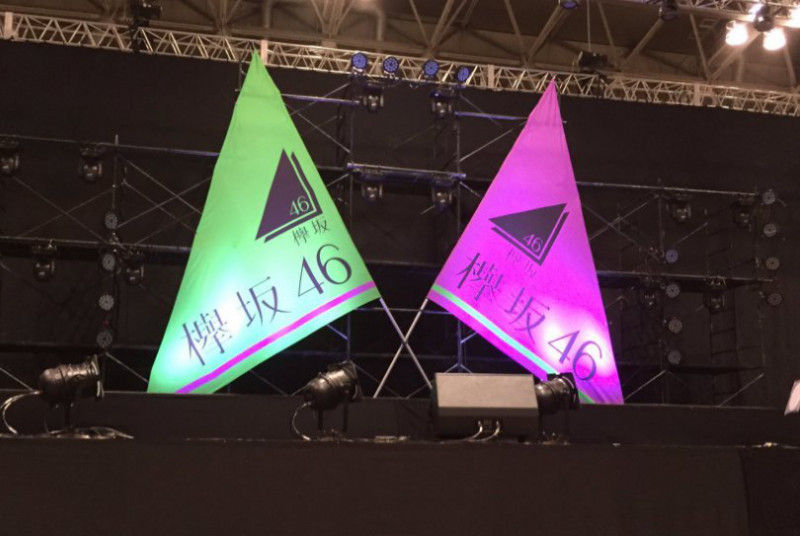 欅坂46握手券12枚 欅坂46 2ndシングル『世界には愛し