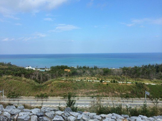 20131109-195859.jpg